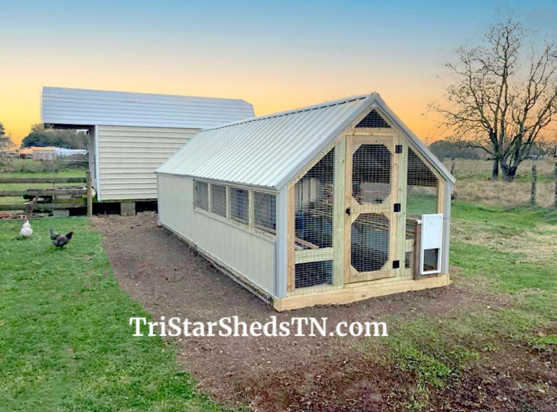 8x18 Deluxe Day Ranger Coop. Interior Egg Collecting Wall (SKU 2515)