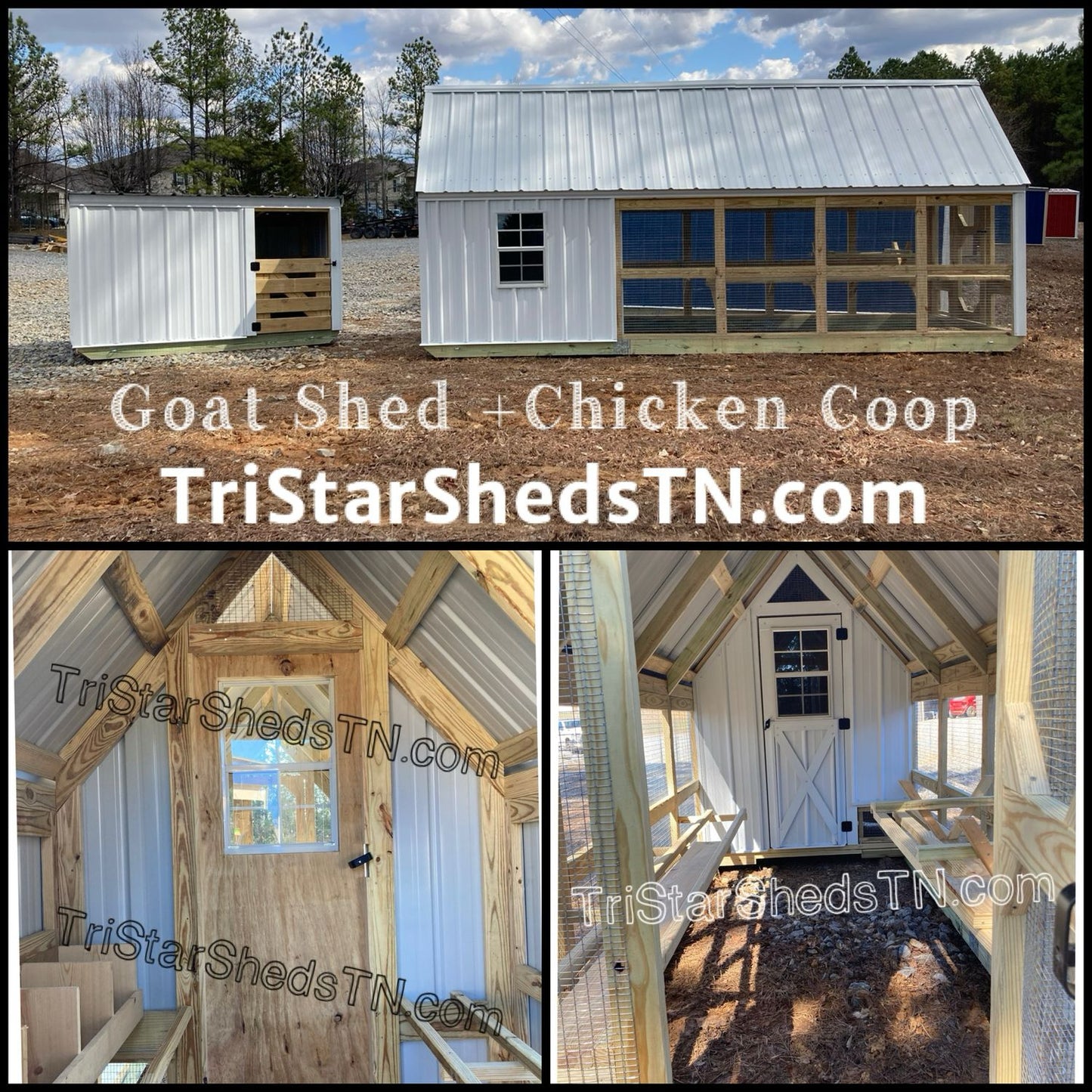 DELUXE DUO DEAL 6x18 COOP AND 6x8 GOAT SHED. With Coop Flooring (SKU 3359)