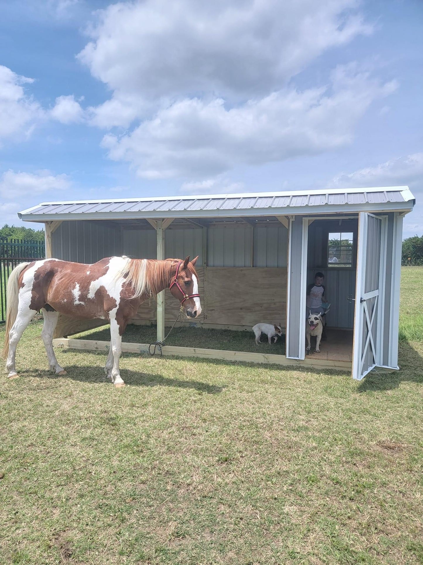 8x18x8 Loafing Shed With Tackroom (SKU 1112)