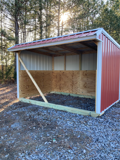 8x12 RUN IN SHED With Plywood Kickboards(SKU 1136)