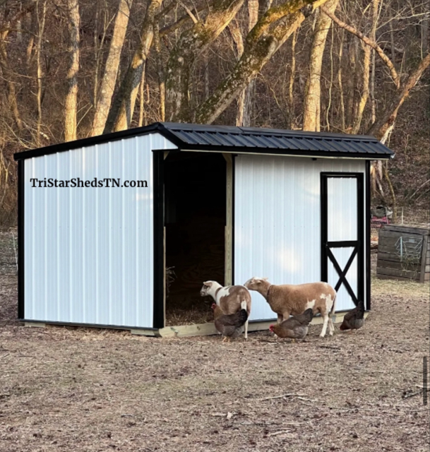 8x15 Tiny Barn With Gate (SKU 2355)