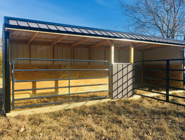 8x24 RUN IN SHED With Tube Gates (SKU 1293)
