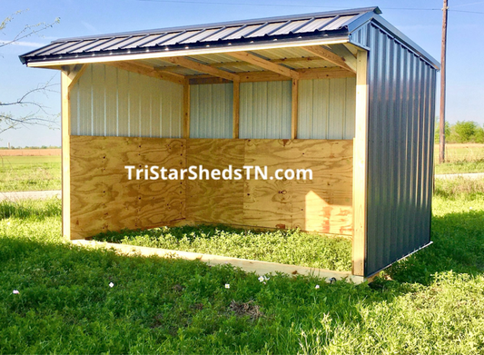 8x12 RUN IN SHED With Plywood Kickboards(SKU 1136)